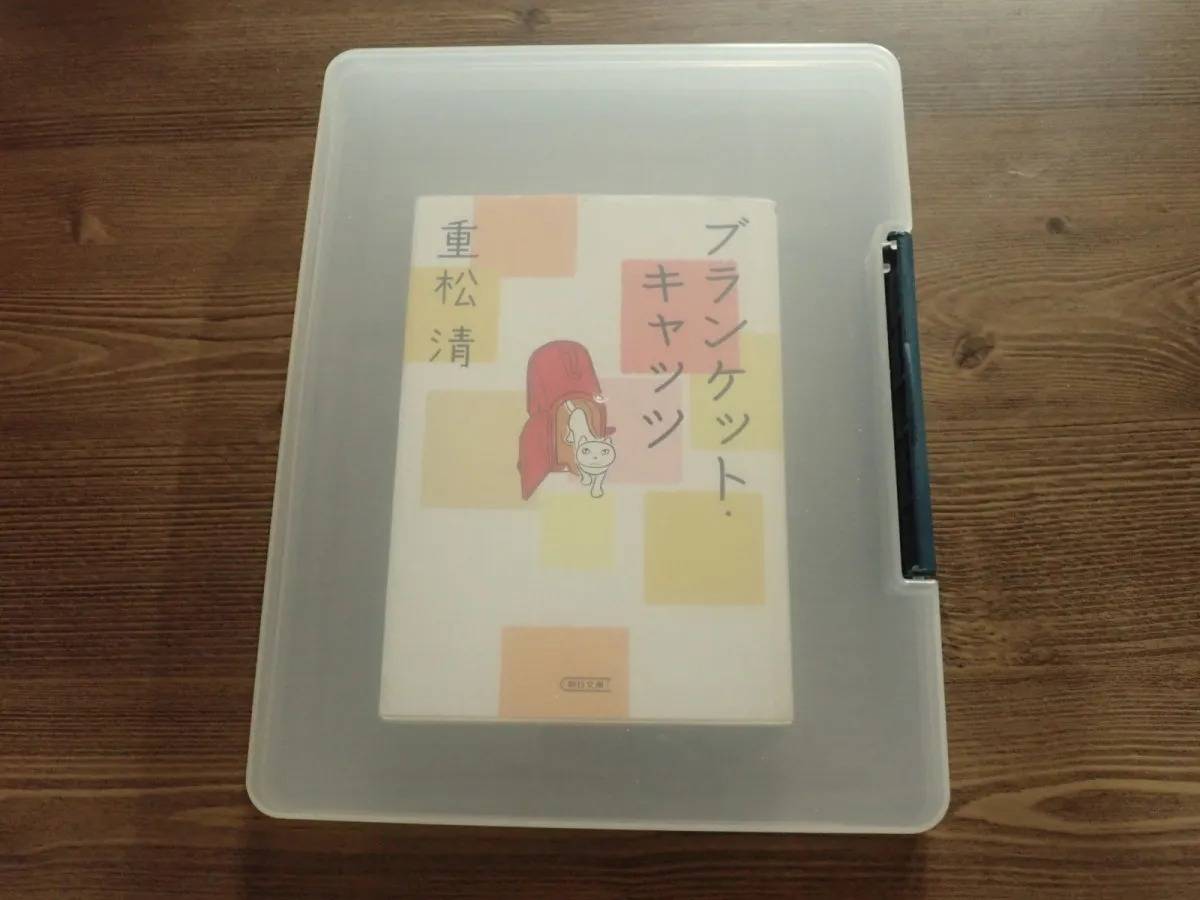 DAISO(ダイソー)：すっきり書類収納ファイルA5