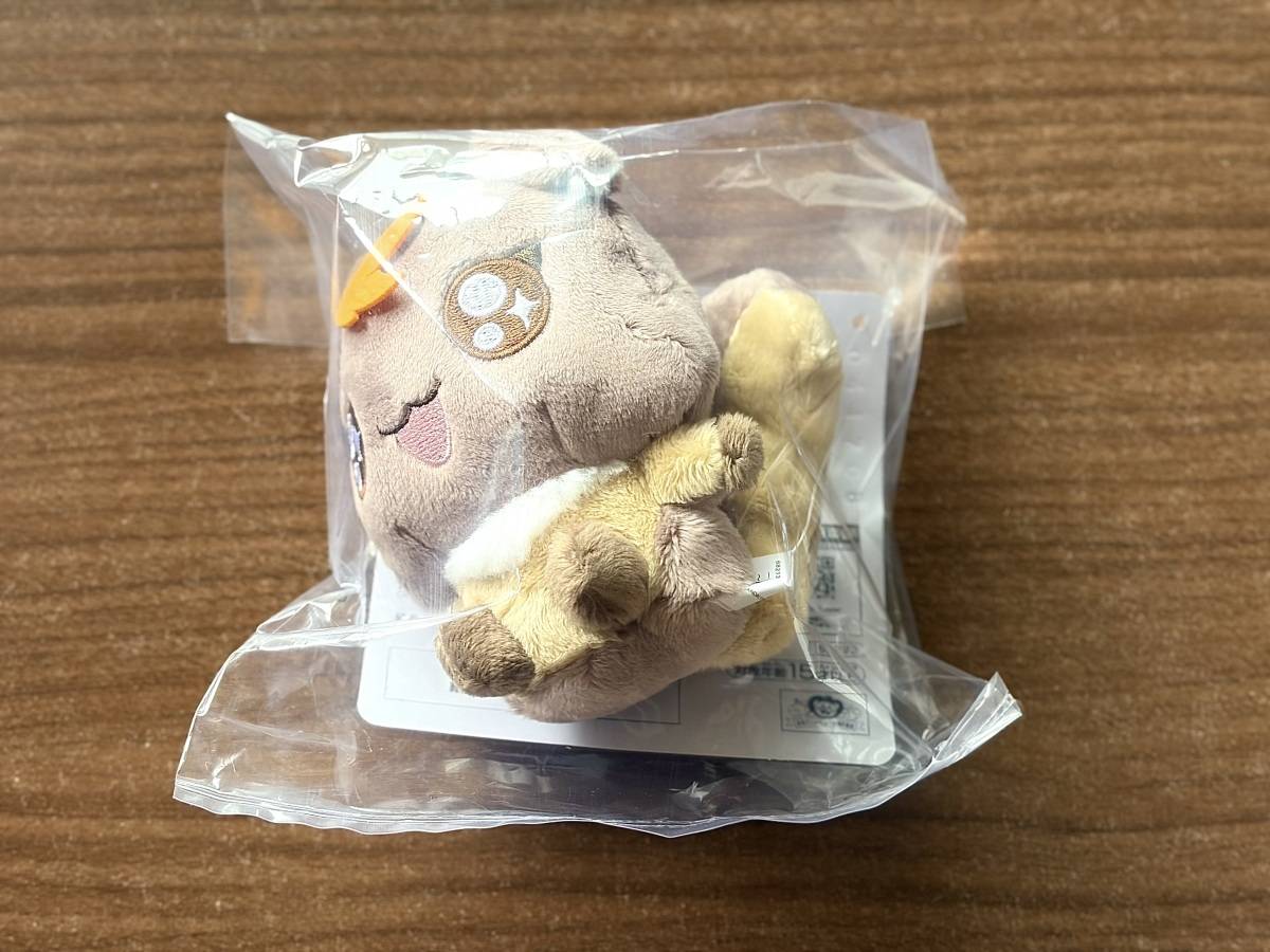 写真⑥