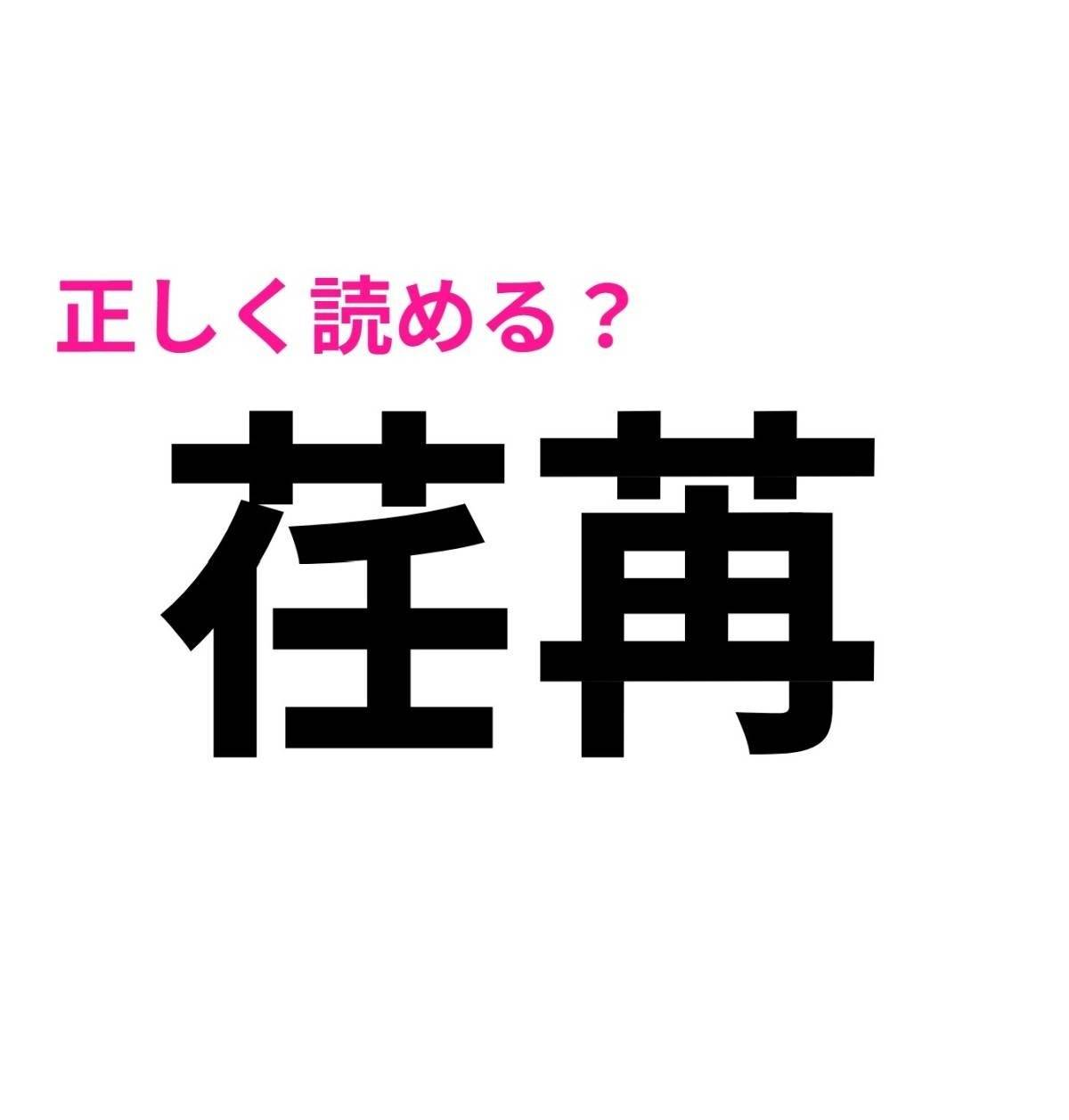 荏苒