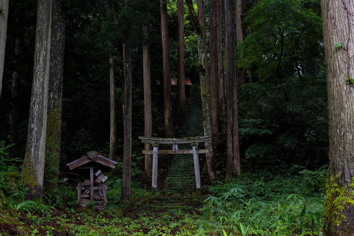 山の中にたたずむ神社