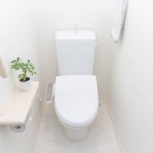 実は風水的に大正解。トイレにあるとくじ運がみるみる上がるもの5選