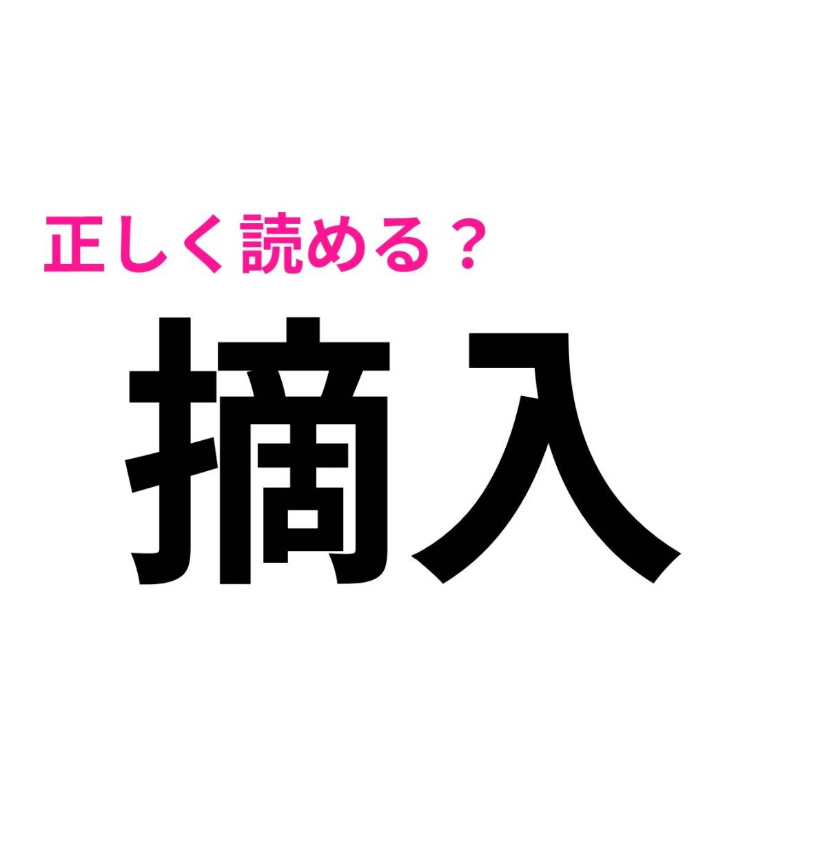 摘入