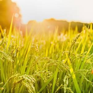 大大大吉日【10月13日(火)】が到来。ただし運を逃すNG行動も？