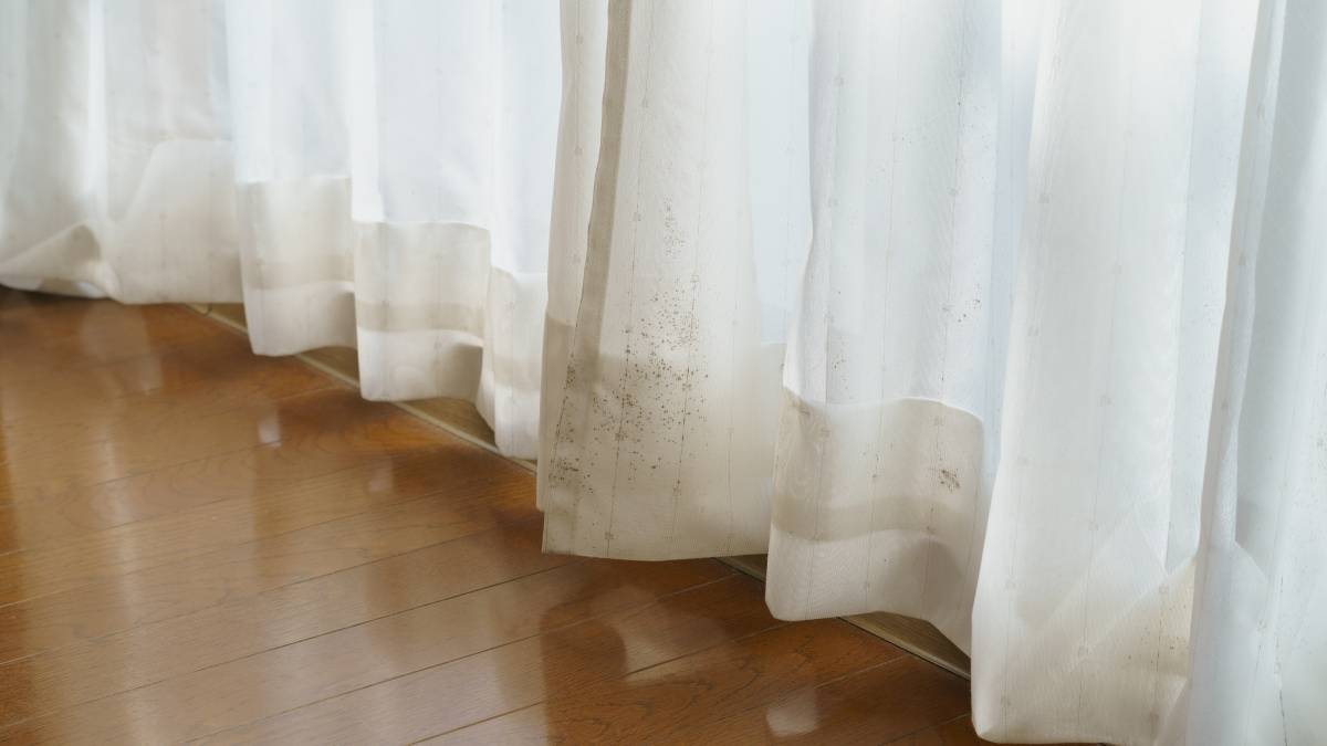 窓 晩年運 下がる 汚れたカーテン
