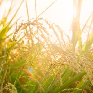 大大大吉日【10月23日(金)】が到来。ただし注意すべき時間帯も？