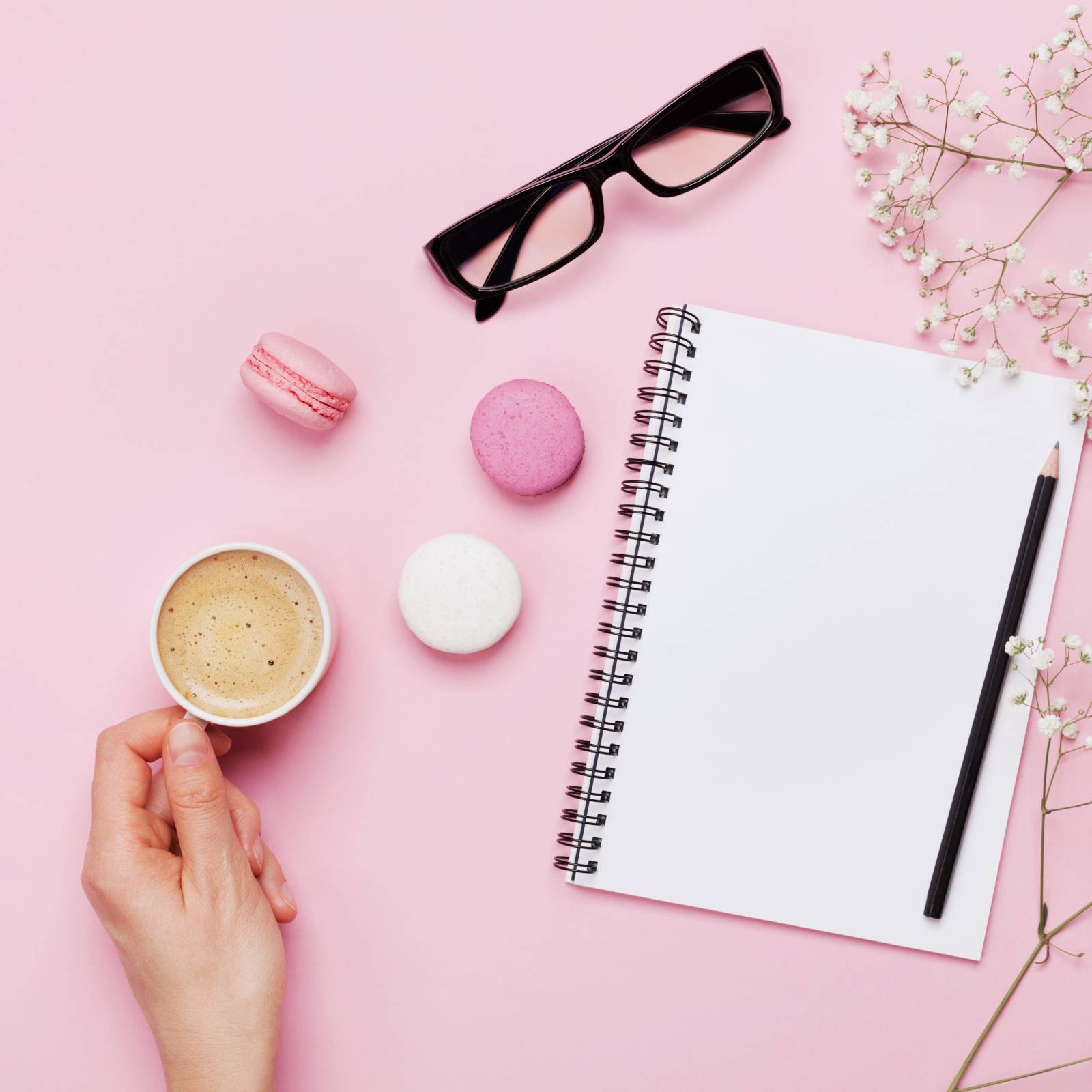 え なんの鳥 鸚鵡 の読み方が難しすぎる 読めたらスゴい漢字 4meee