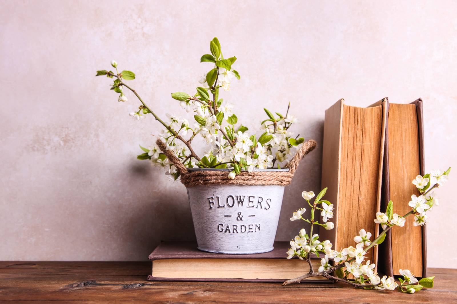 序に を じょに って読んでたかも 正しい読み方が知りたい 読み間違いが多い漢字 4meee