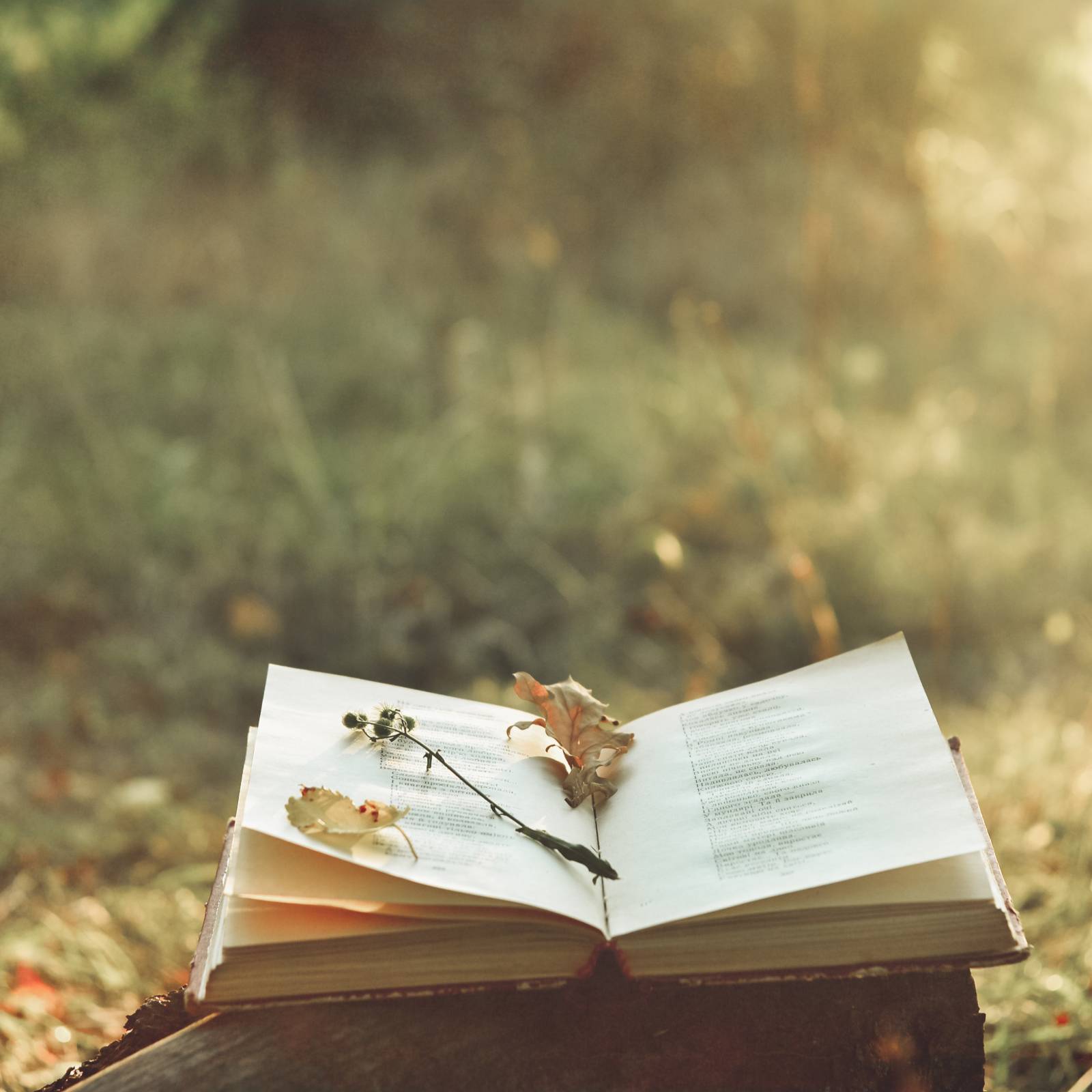 見たことない人集合 難度高すぎる 烏滸がましい の読み方が知りたい 読めたらスゴい漢字 4meee