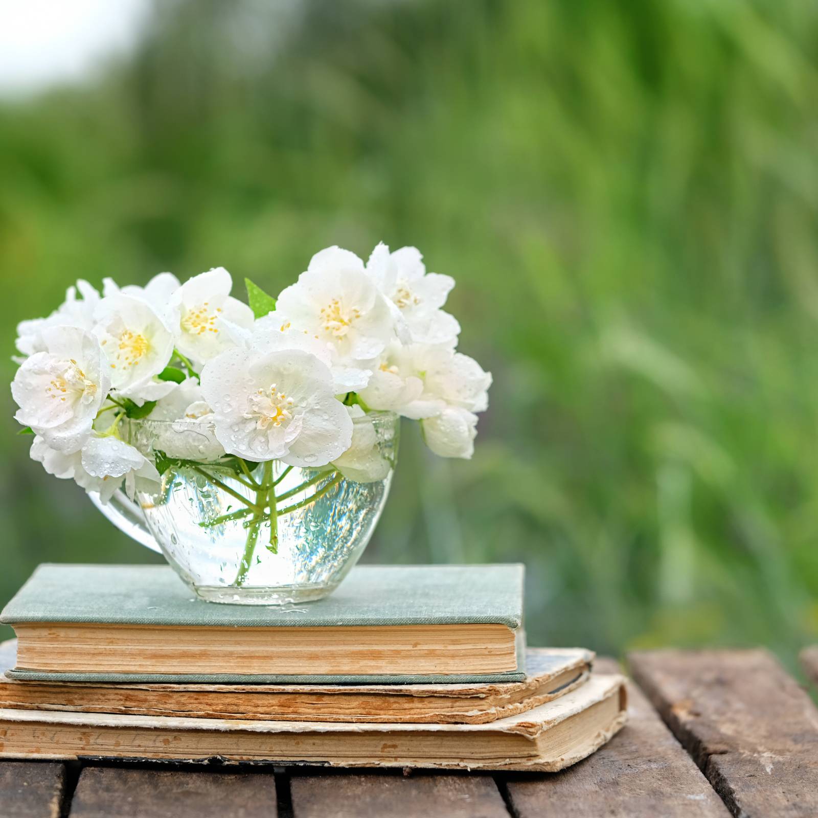 蔓延る は まんえんる じゃないらしい 正しい読み方が知りたい 読み間違いが多い漢字 4meee