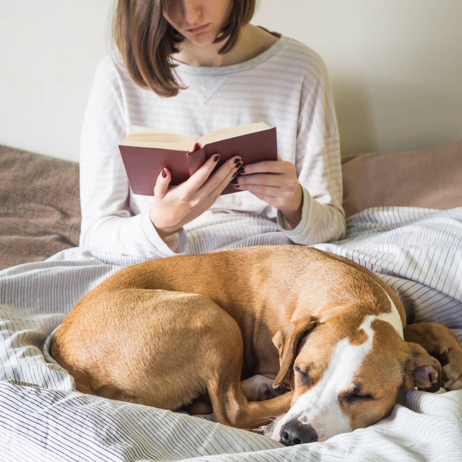若布 は わかぬの って思ってたらまさかの食べ物の名前だった 読み間違いが多い漢字 4meee