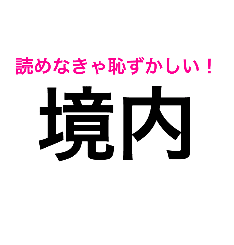 境内
