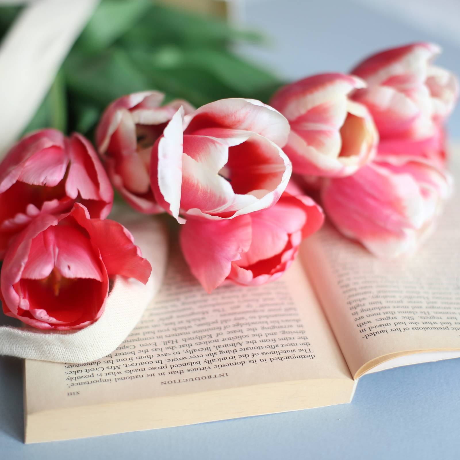 コレは読めないと恥ずかしい 妄りに は もうりに じゃないよね 読み間違いが多い漢字 4meee