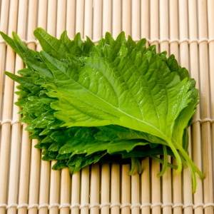 とんでもない美味しさだよ……。「大葉」で作る瞬殺おつまみレシピ集