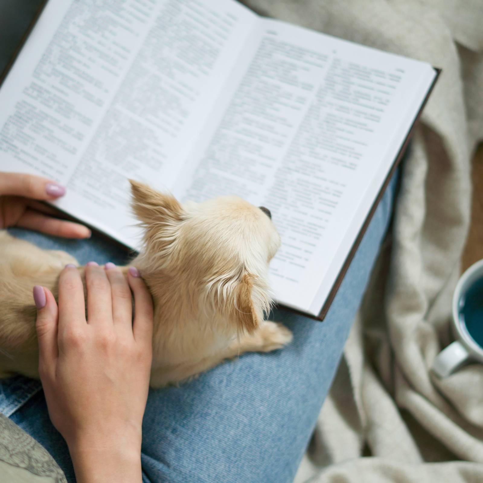 どう読めばいいの 正答率がすこぶる低い 鮴 の読み方はなに 読めたらスゴい漢字 4meee