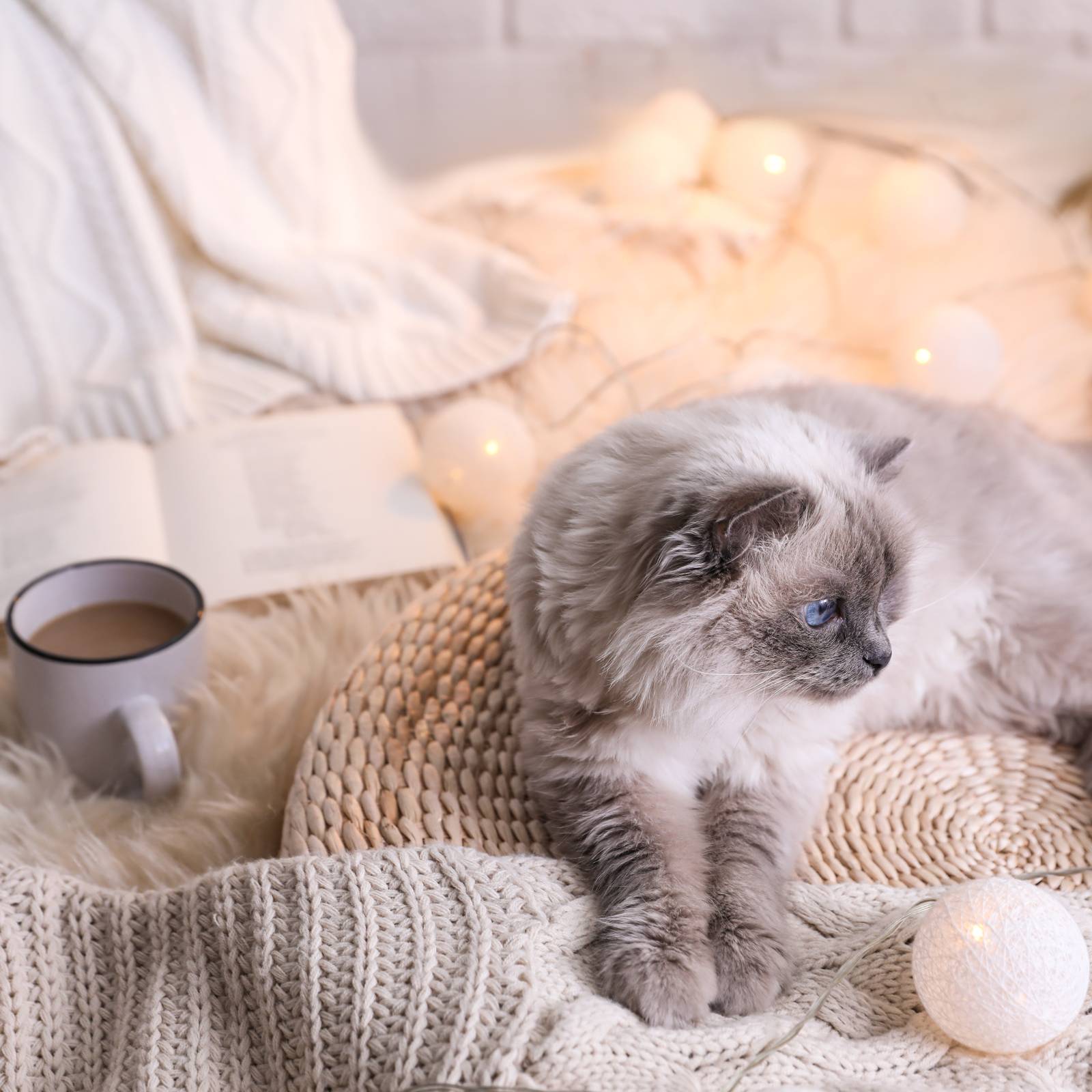 シンプルにめちゃくちゃ難しいやつ 葫 って漢字なんと読む 読めたらスゴい漢字 4meee