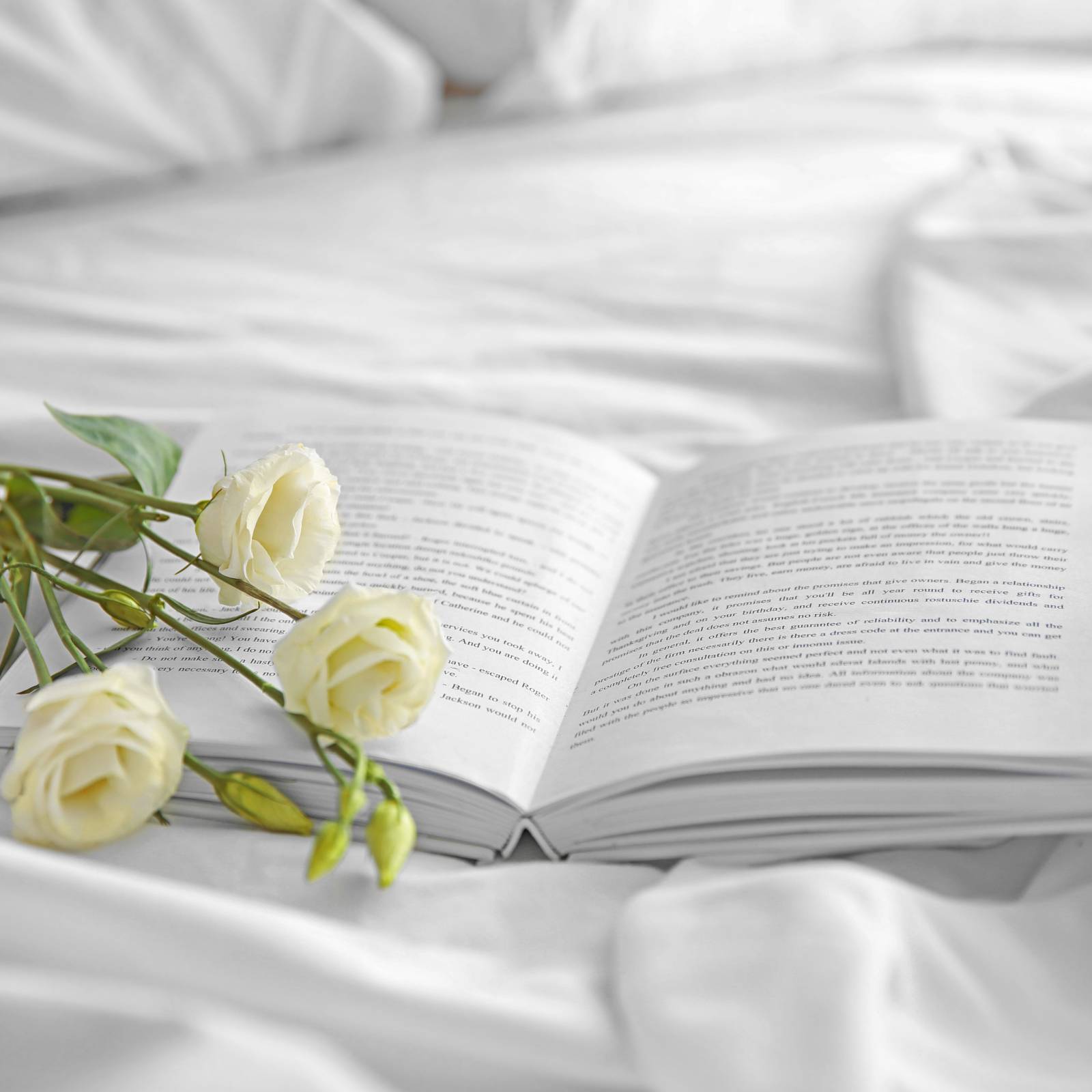 もはや 号ぶ ってなに 正解見たらまさかの知ってる言葉だった 読み間違いが多い漢字 4meee