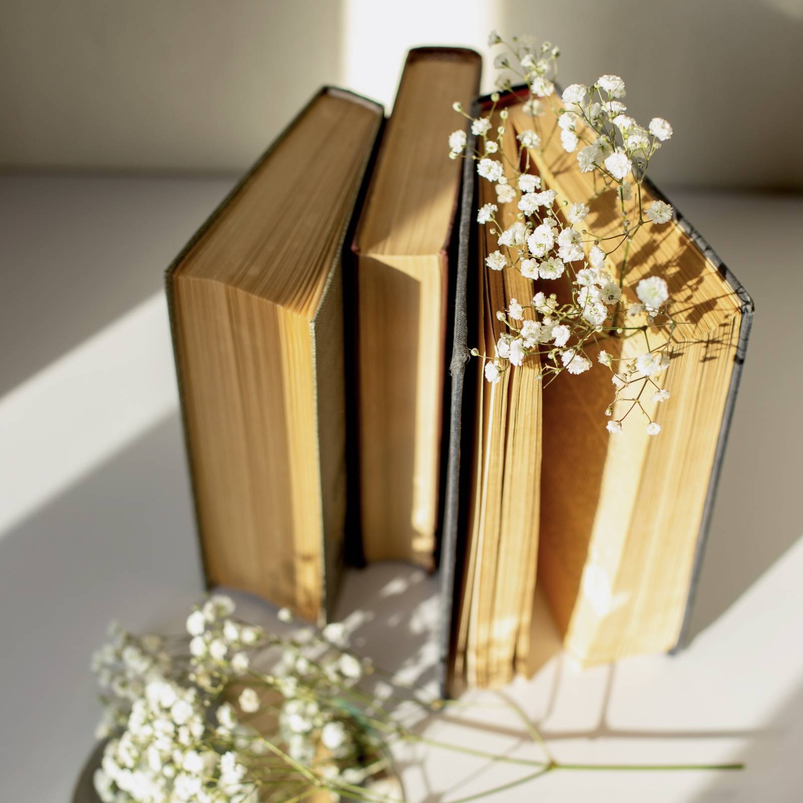 読めそうで読めないやつじゃん 何気に読み間違いが多い漢字7選 4meee