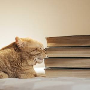 これはお手上げだわ……。正答率低い「人誑し」の読み方知ってる？【難しい漢字クイズ】