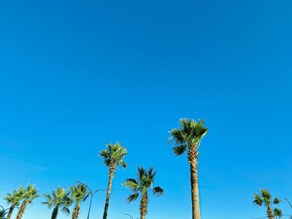 辻堂海浜公園