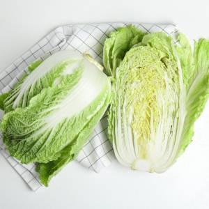 おののくほど美味しいよ……。「白菜」で作る瞬殺おつまみレシピ5品