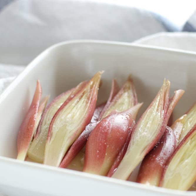 みょうが で作る即席おつまみレシピおすすめ5選 ワインと合う 4meee