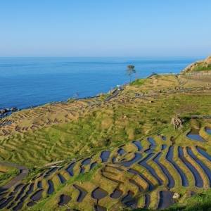 わかる人ただただ尊敬です……。この都道府県はどこ？【都道府県シルエットクイズ】