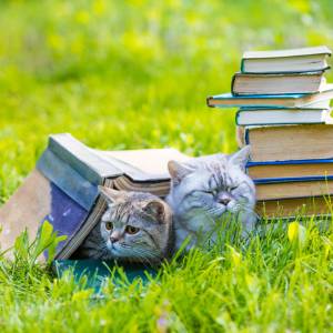 「儘よ」って初めて見たんだが……。正しい読み方知ってる？【難しい漢字クイズ】
