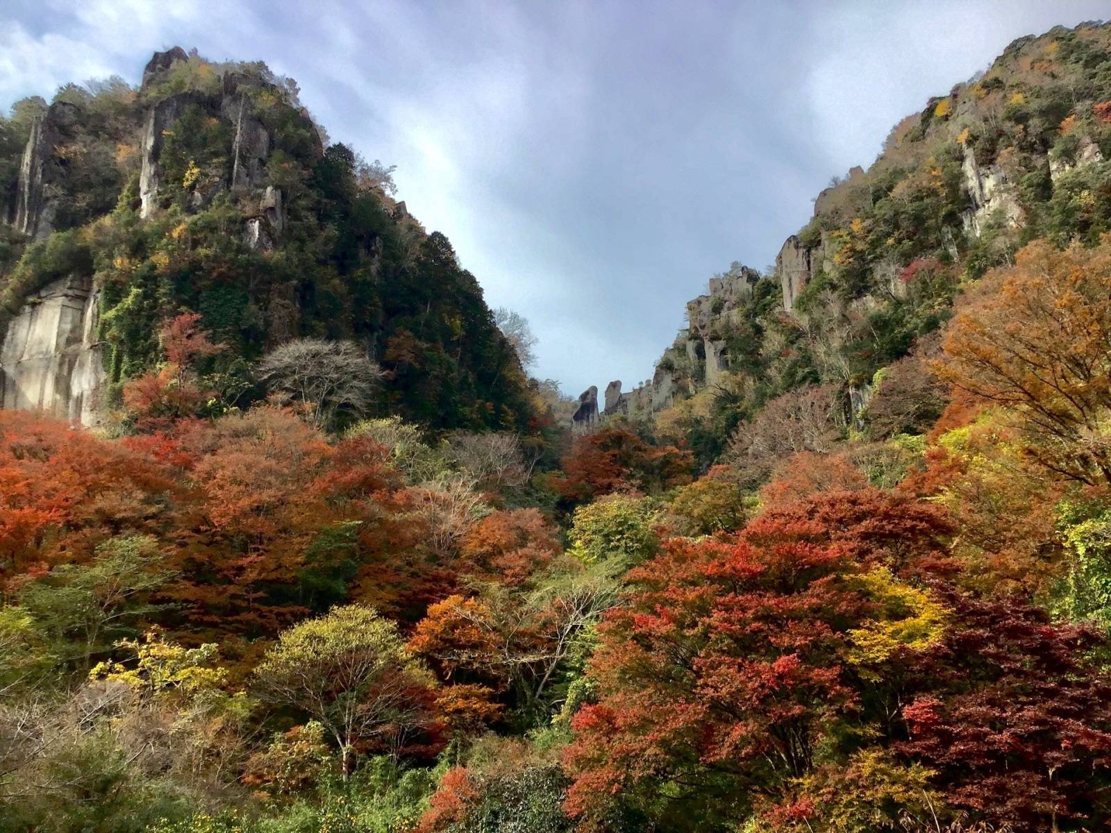 深耶馬渓