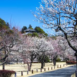 光の速さで解ける天才いる?パッと見どこかわからない都道府県シルエット7選