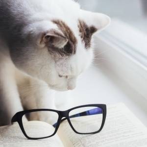 コレ読める人絶対少ないと思う……。読めなくて泣ける漢字7選
