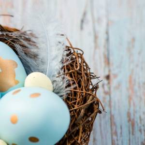 棚から消える前にゲットすべし！【ダイソー】おすすめの季節商品3選