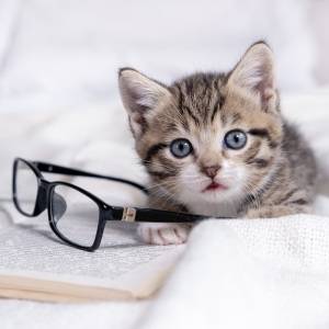 ノーヒントでわかる人の脳内どうなってるの……？読めたらスゴい漢字7選