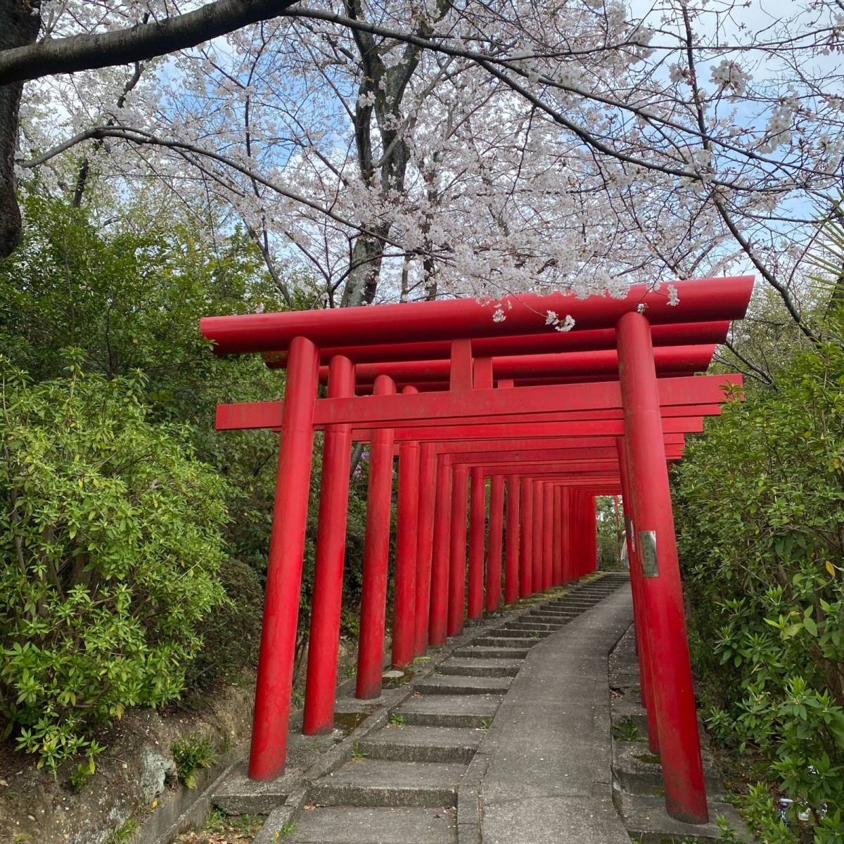 【神奈川編】縁切り神社&寺おすすめ9選♡やばいほど効く強力パワースポットあり!? | 4MEEE