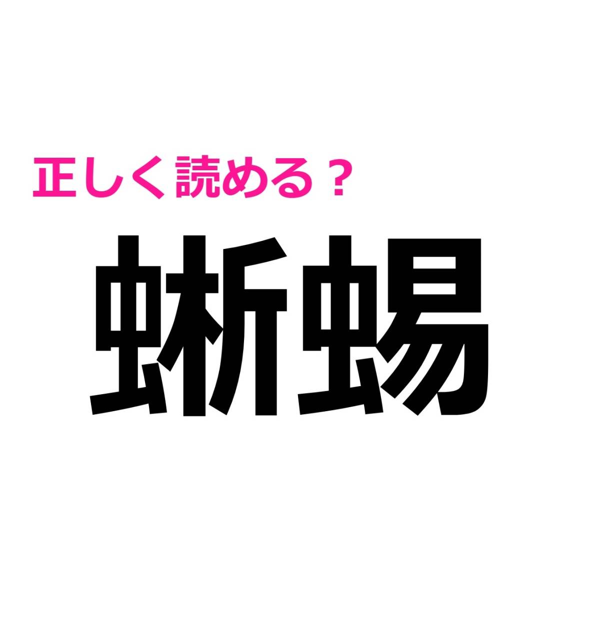 蜥蜴