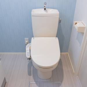 実は風水的にアウトです。トイレに置くと健康運がガタ落ちするもの5選