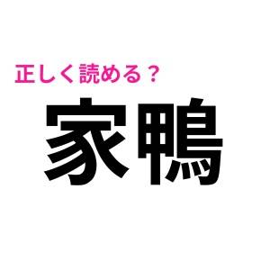 絶妙に悩ませてくるじゃん……(涙)「家鴨」の読み方わかる？【読めたらスゴい漢字】