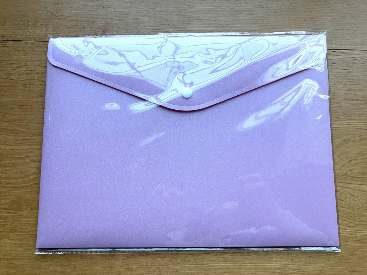 ダイソーのラメドキュメントファイル　Ａ４（パステルカラー）