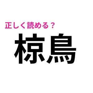  椋鳥 