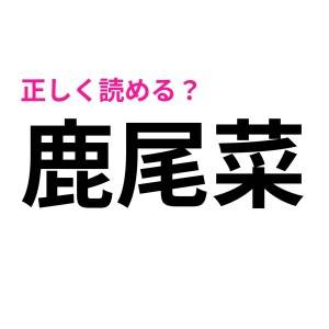  鹿尾菜 
