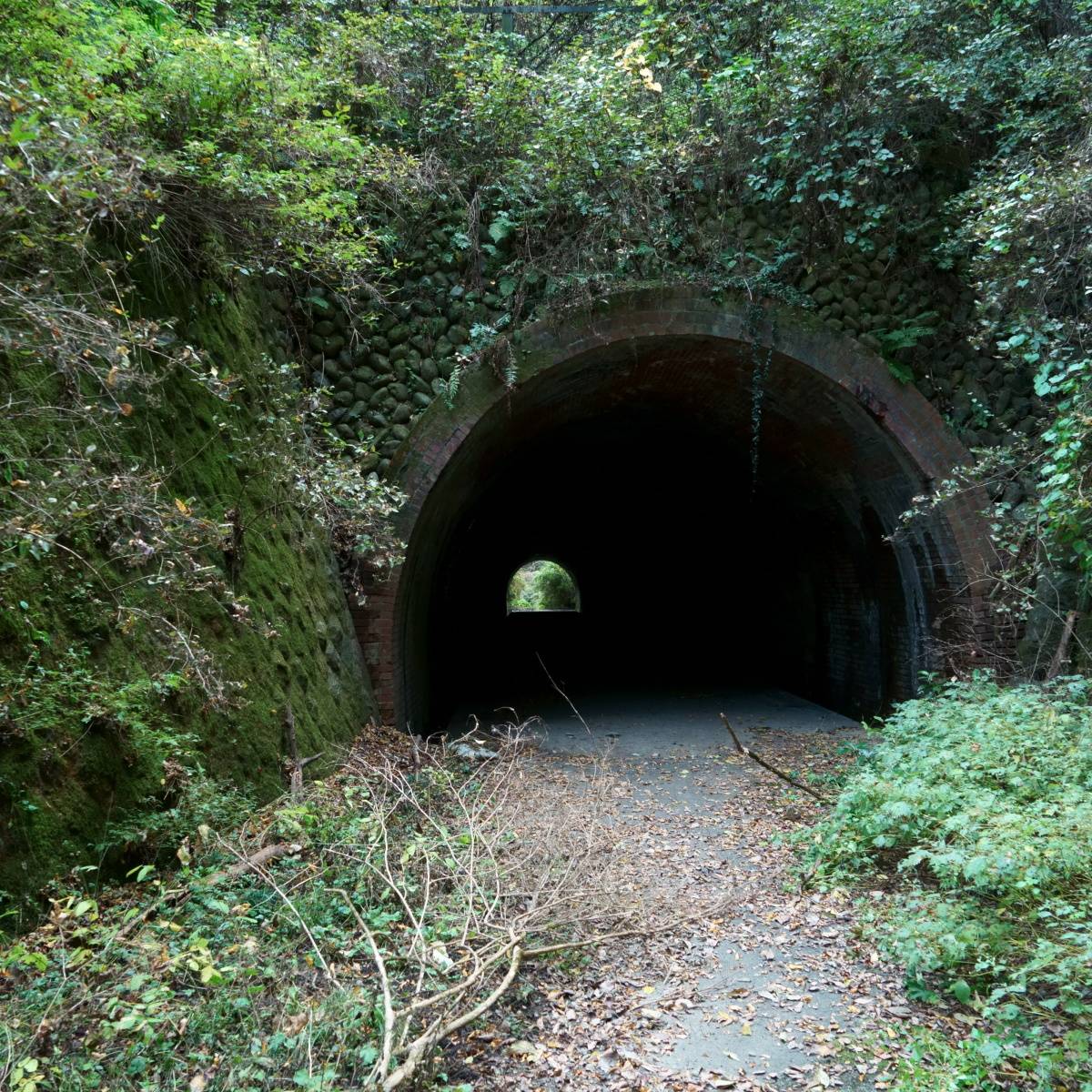 廃トンネル