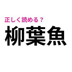  柳葉魚 