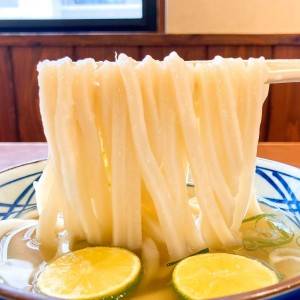 【丸亀製麺】さん、天才かよ……。季節限定メニューが食べ応え抜群だよ