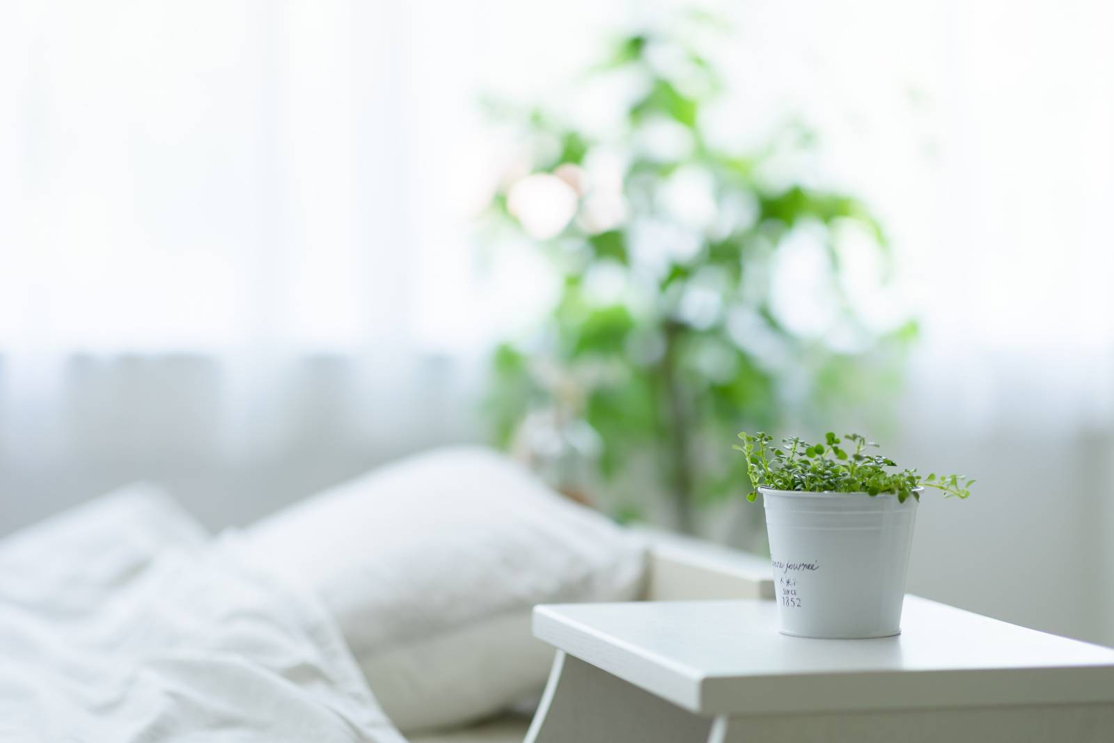 寝室　運を引き寄せる　アイテム　観葉植物