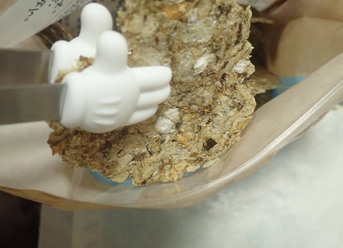 ダイソーのスナック用トング(ミッキー/ハンド)