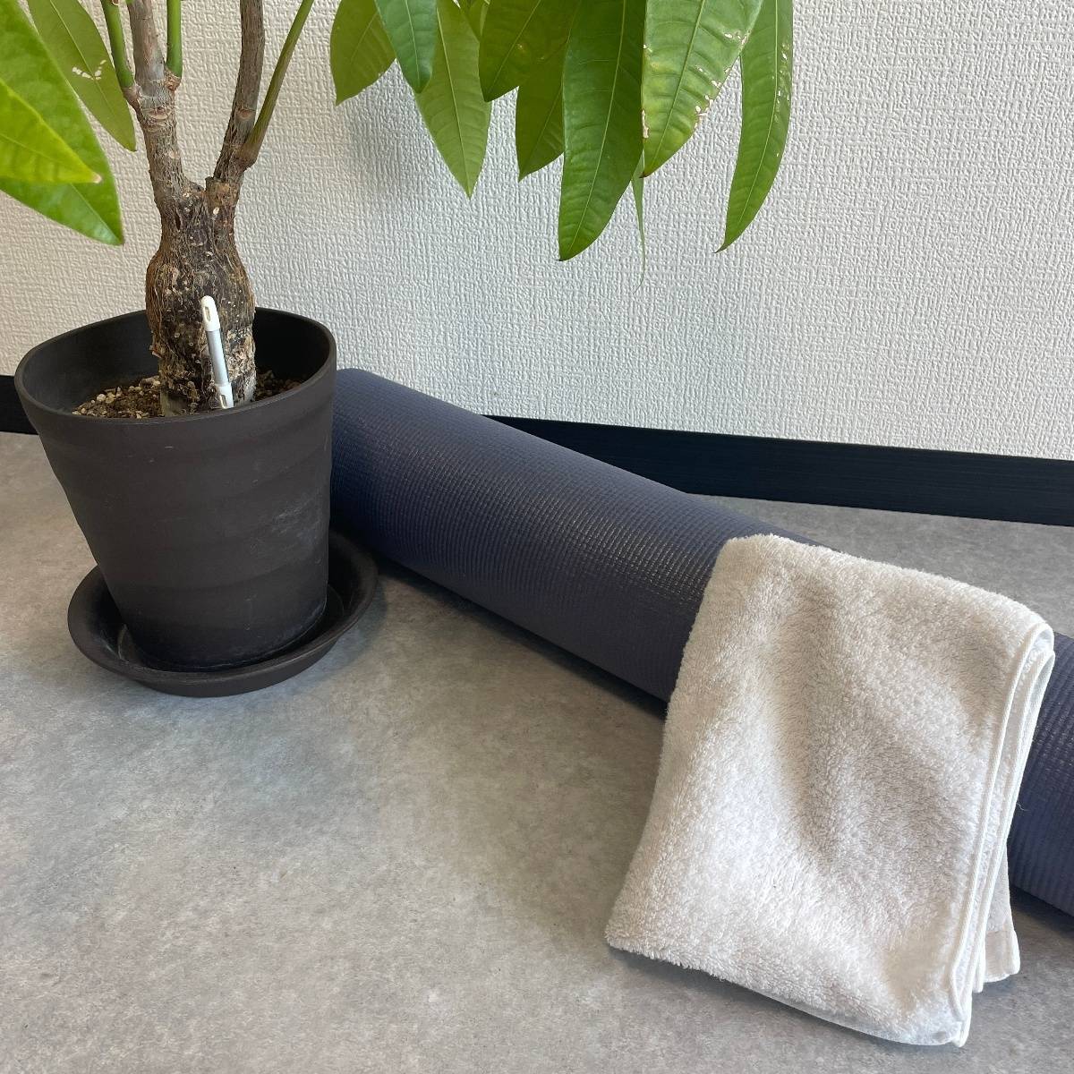 使用する道具