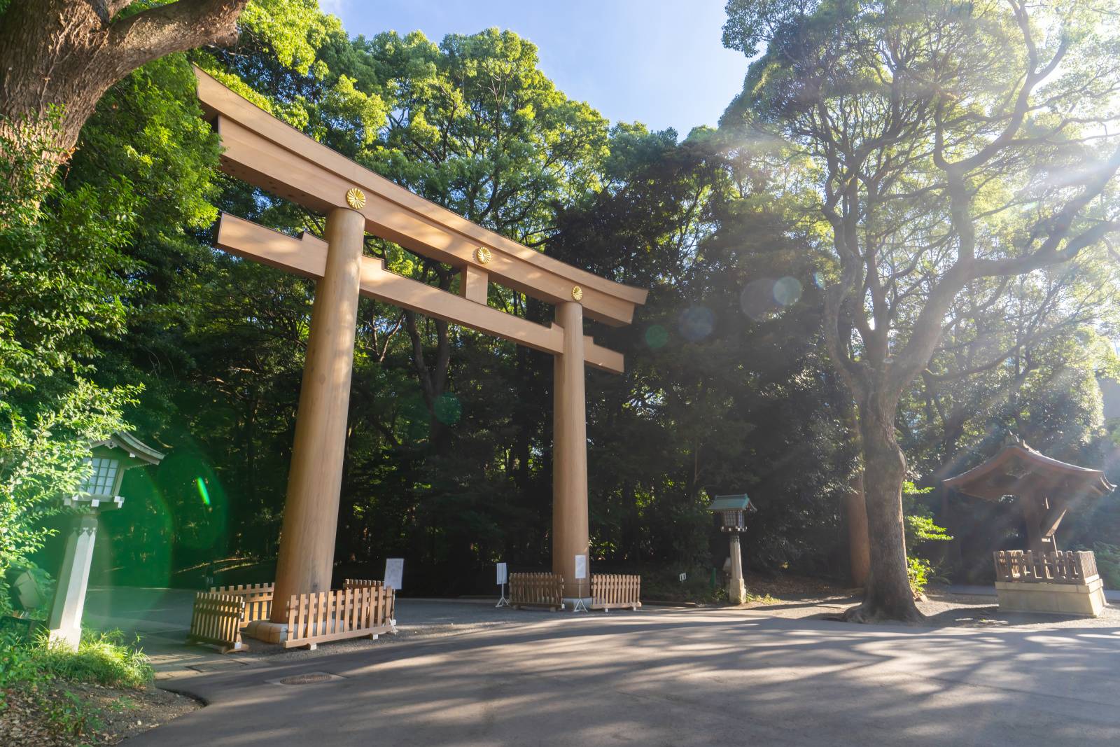 2025年7月12日(土)は開運日