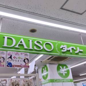【ダイソー】に最高なのあったよ！秒でカゴに入れた超便利アイテム