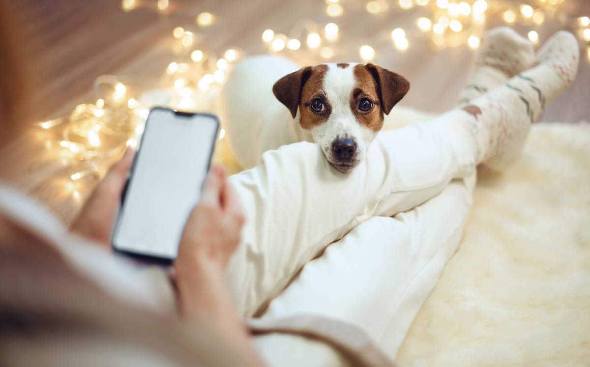 スマホを見る女性と犬
