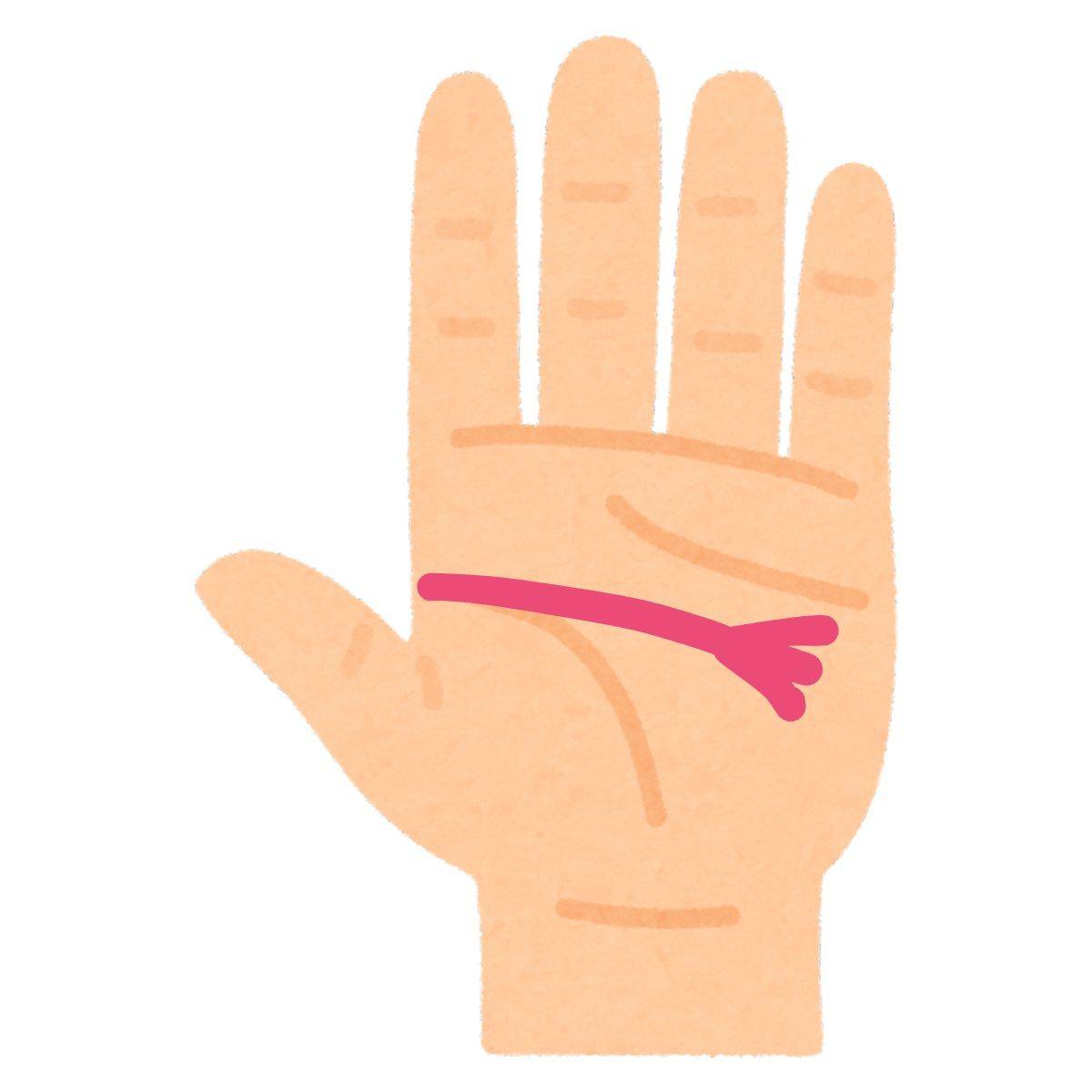 先が枝分かれしている知能線