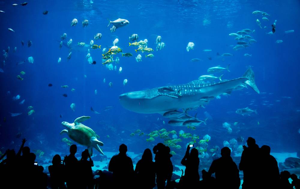 水族館